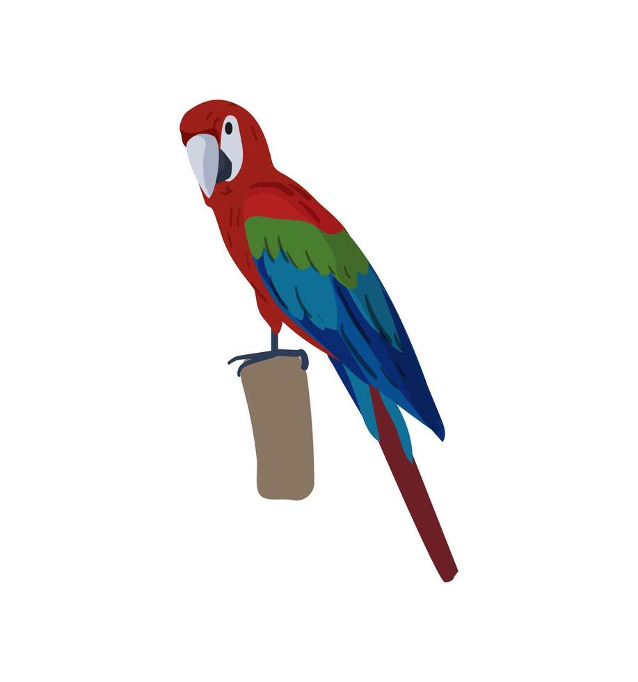Colorful Parrot on Perch vector
