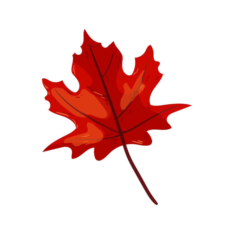 Red Maple Leaf vector