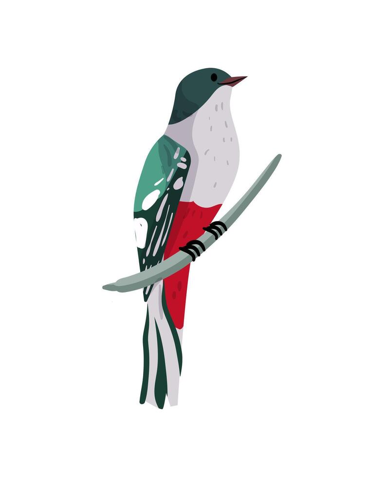 Cuban National Bird vector