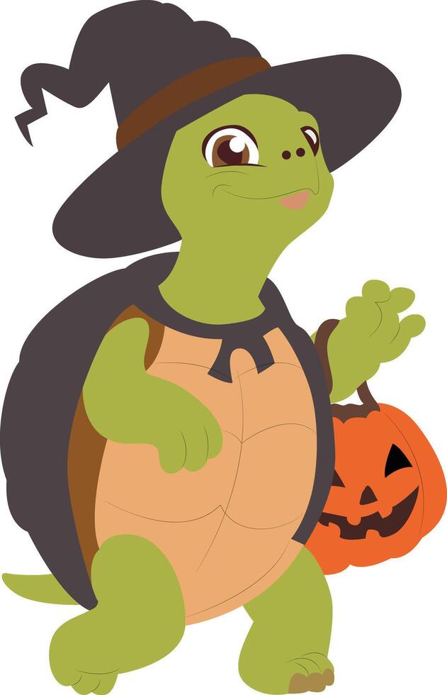 Turtle Witch Halloween vector