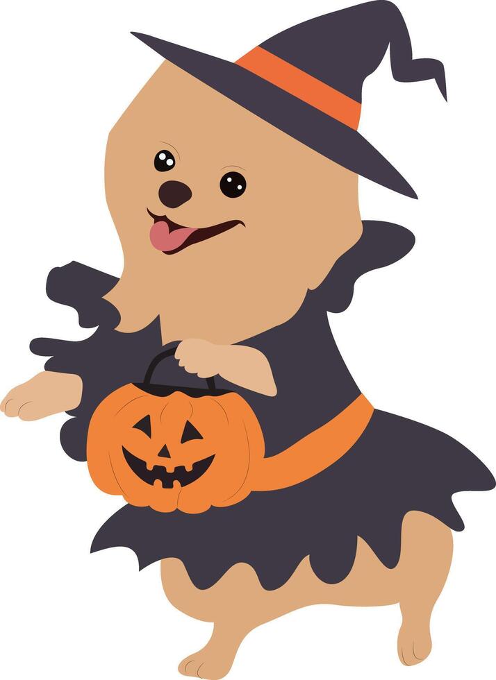 Cute Pomeranian Halloween Costume Trick vector