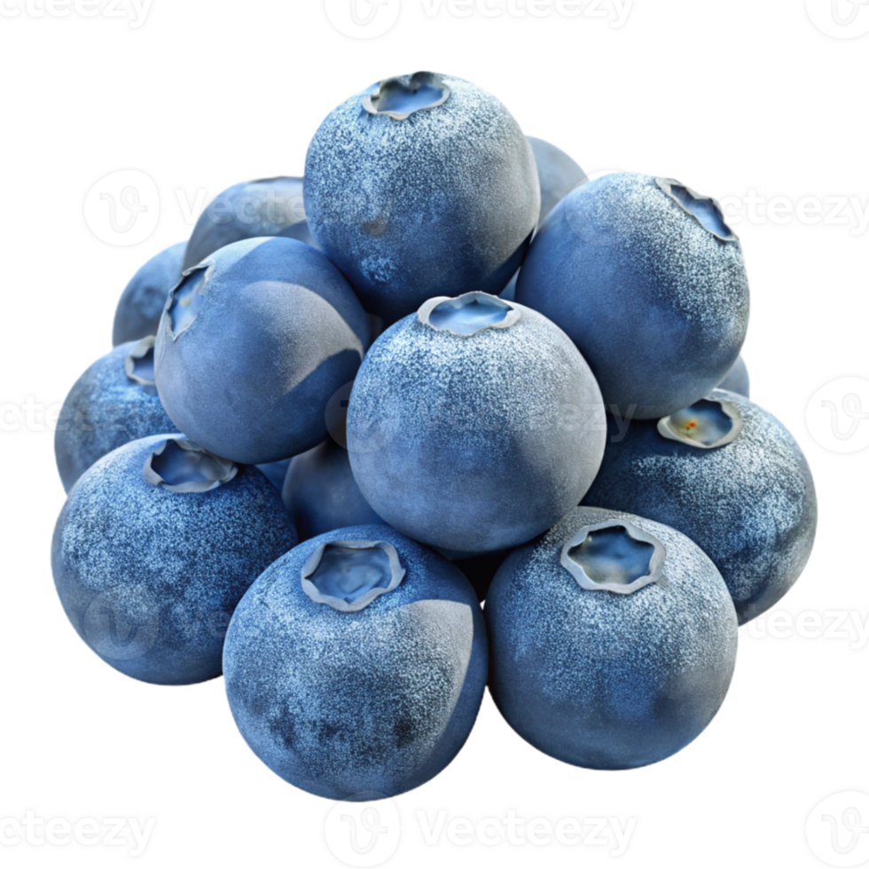serene classic A cluster of ripe blueberries covered in frost, close-up, crisp morning light, photorealistic high quality png