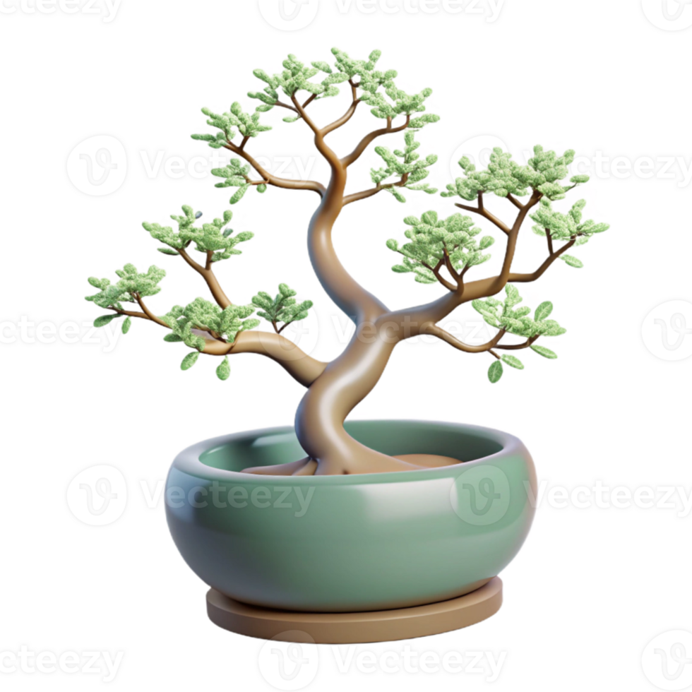 beautiful artistic A bonsai tree in a decorative pot, intricate branches and delicate leaves, minimalist style high resolution png