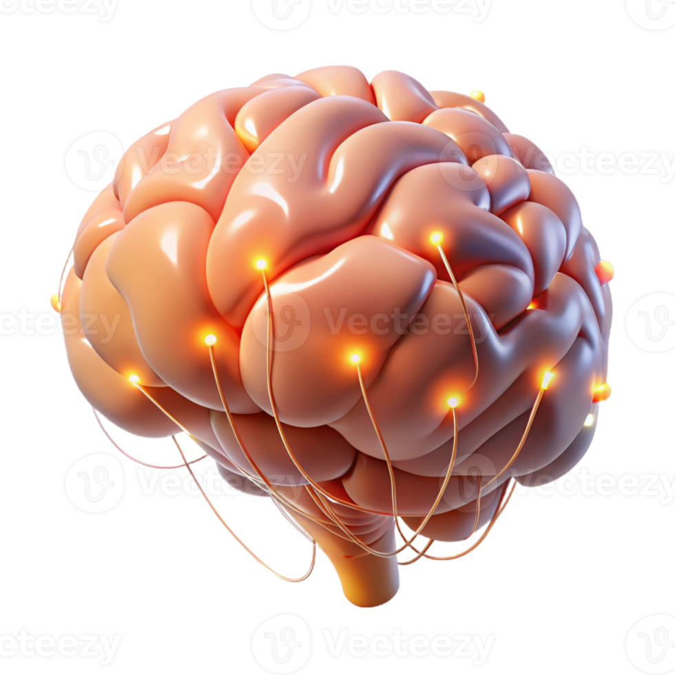 stunning artistic A hyperrealistic rendering of a human brain with glowing neural pathways, lit by a soft, ethereal light, Medical Illustration style high quality png
