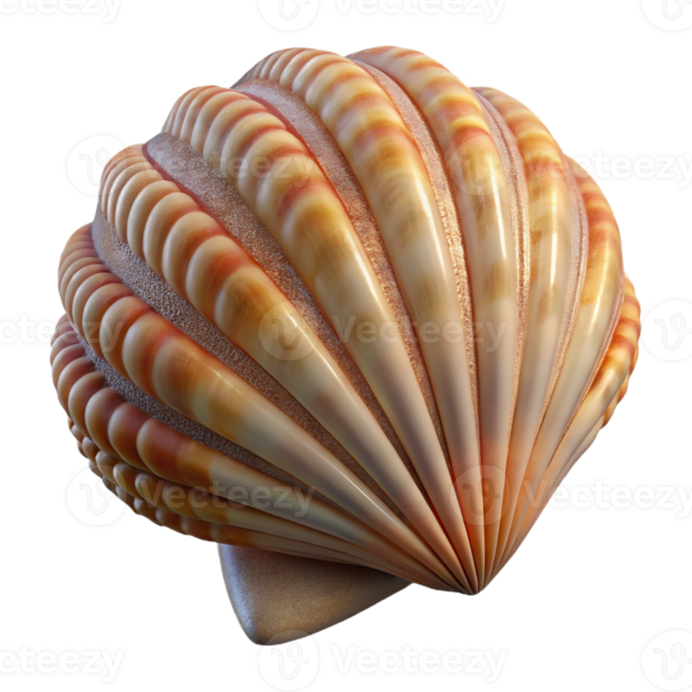 vibrant contemporary A close-up of a seashell, intricate texture and patterns, soft lighting, studio photography premium png
