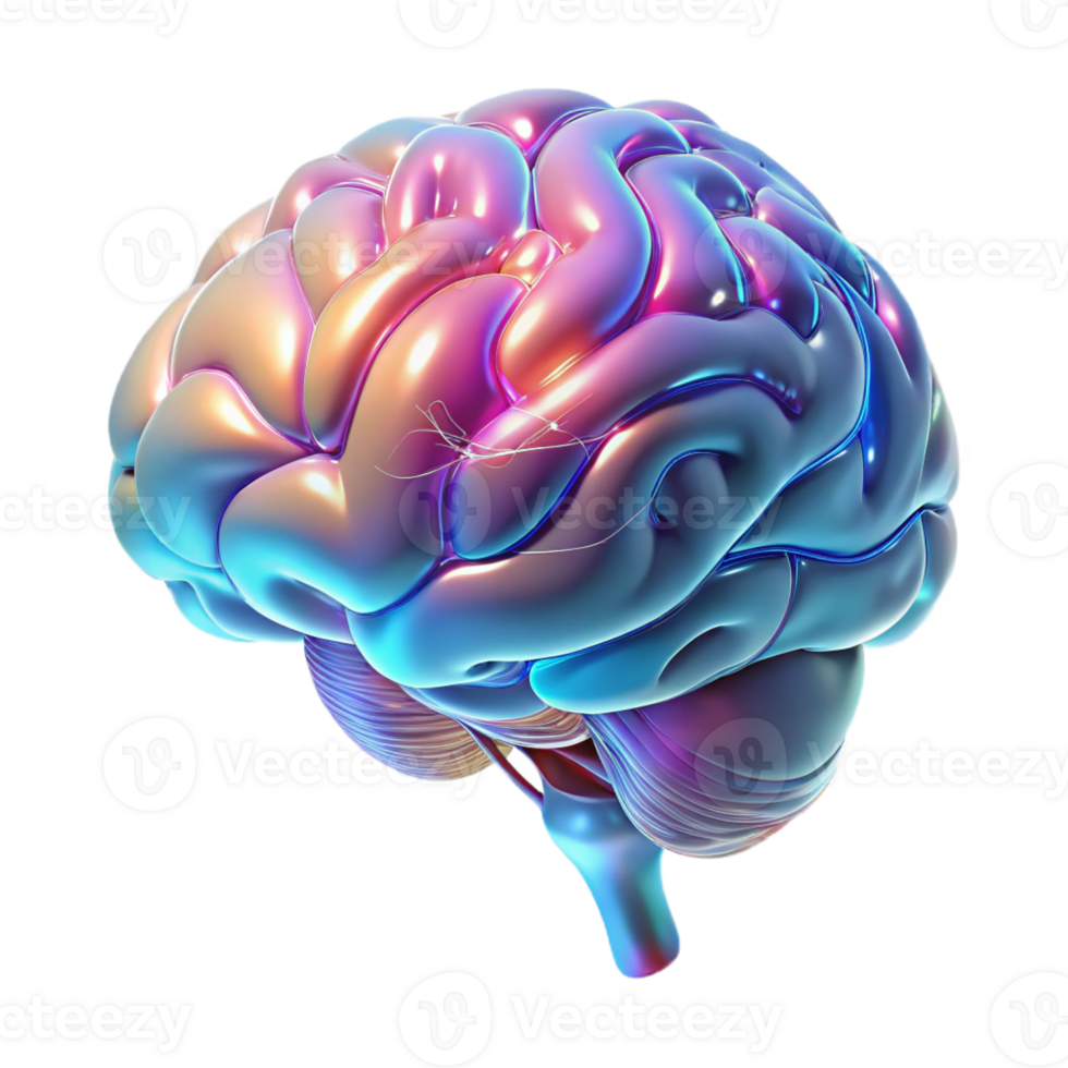 extraordinary modern A holographic projection of a human brain, intricate neural pathways illuminated. Medical illustration style, cool colors, sense of complexity and understanding premium png