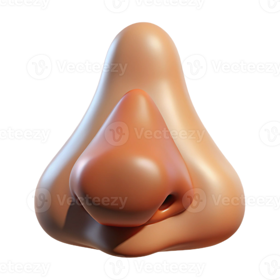extraordinary vintage A human nose, realistically rendered, soft diffused light, subtle shadows, minimalist portrait study high quality png