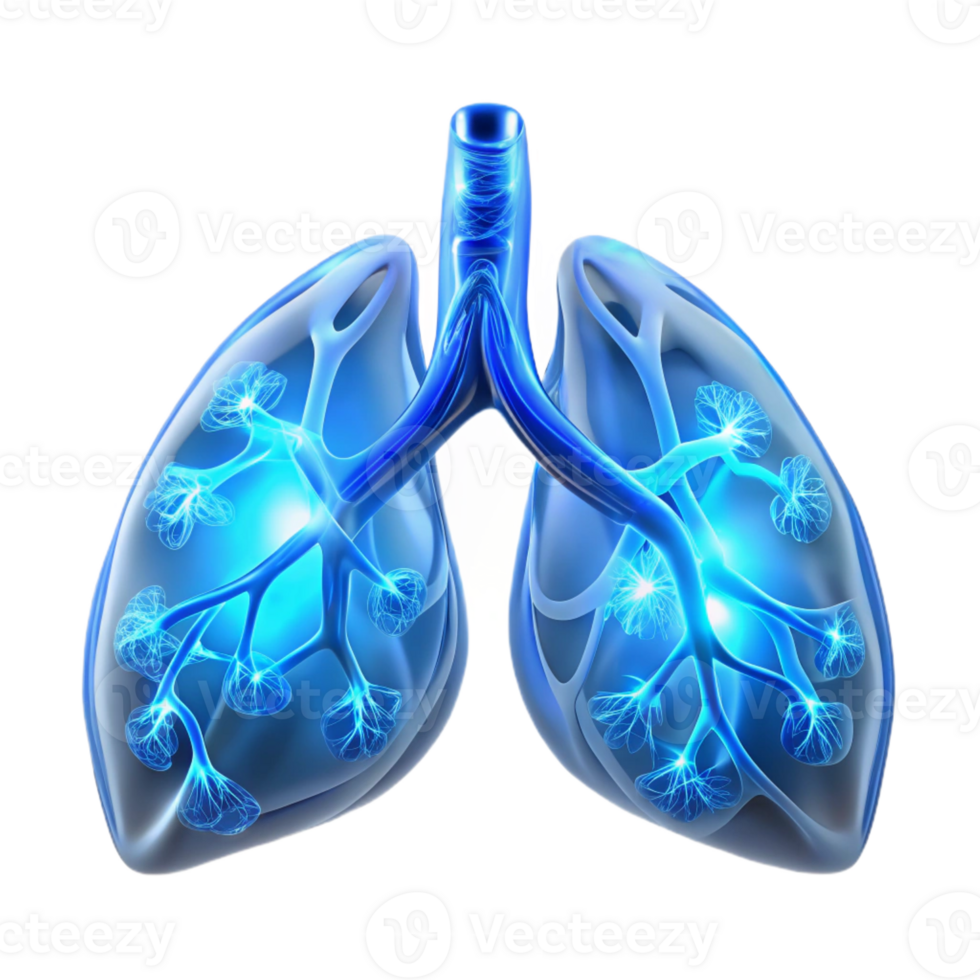impressive abstract Human lungs interwoven with delicate, glass-like capillaries filled with glowing, fluorescent fluid, illuminated by a soft, diffused light, in a bioluminescent style 4K png