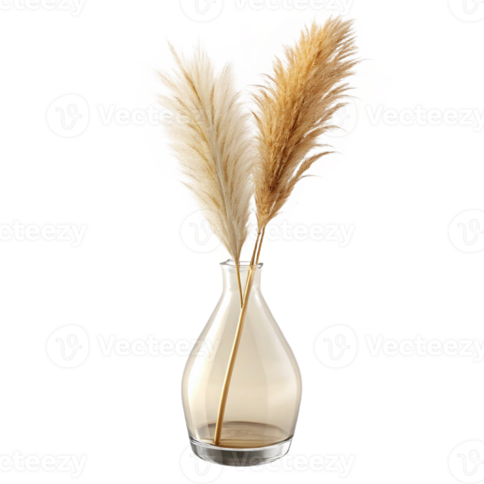 impressive vintage A single stem of dried pampas grass in a clear glass vase, with subtle, diffused lighting from behind premium png