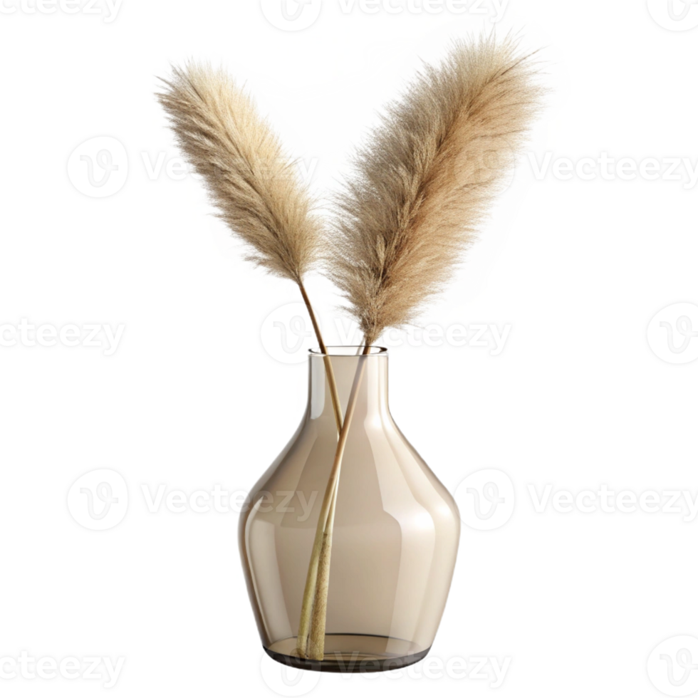 extraordinary creative A single stem of dried pampas grass in a clear glass vase, with subtle, diffused lighting from behind authentic png