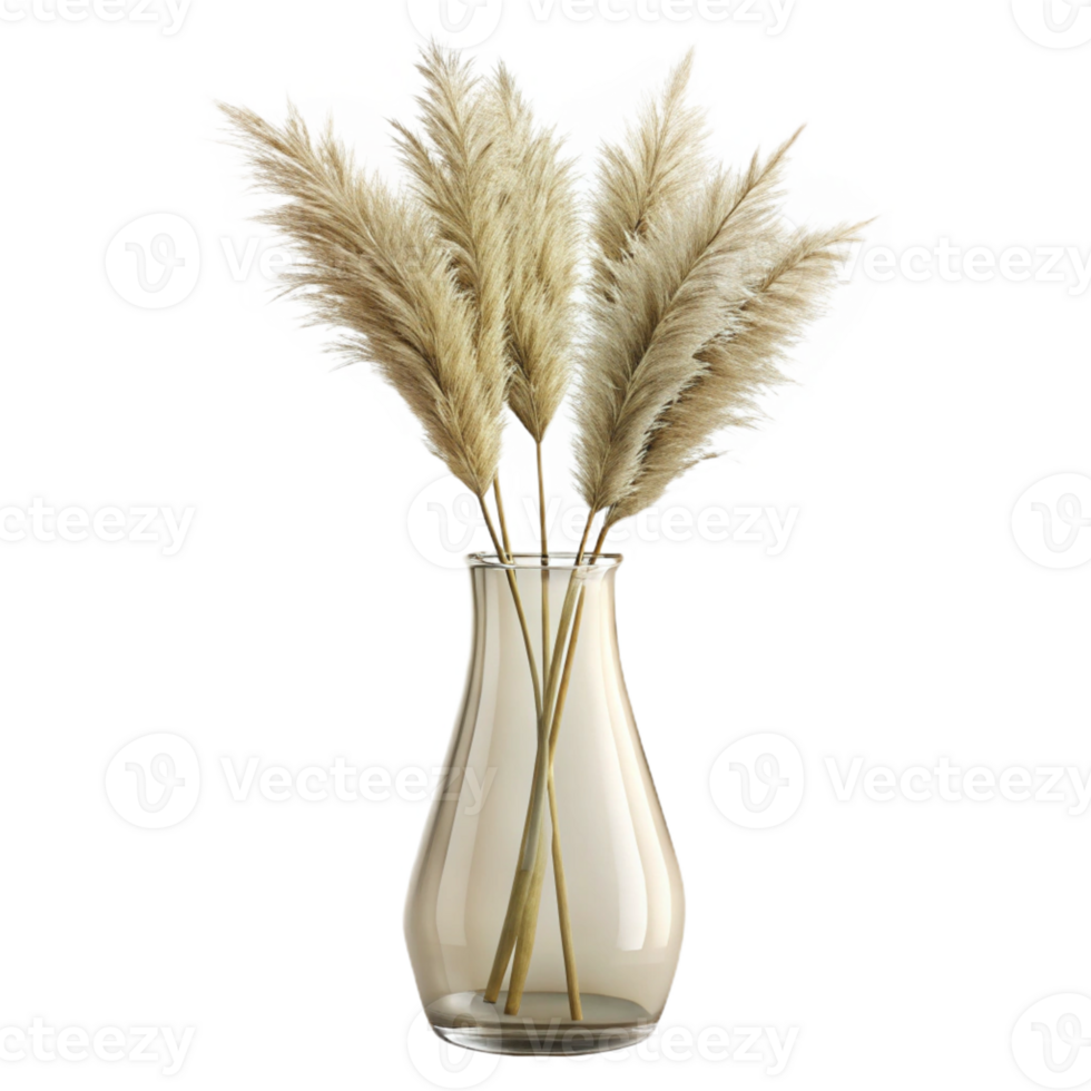 stunning rustic A single stem of dried pampas grass in a clear glass vase, with subtle, diffused lighting from behind original png
