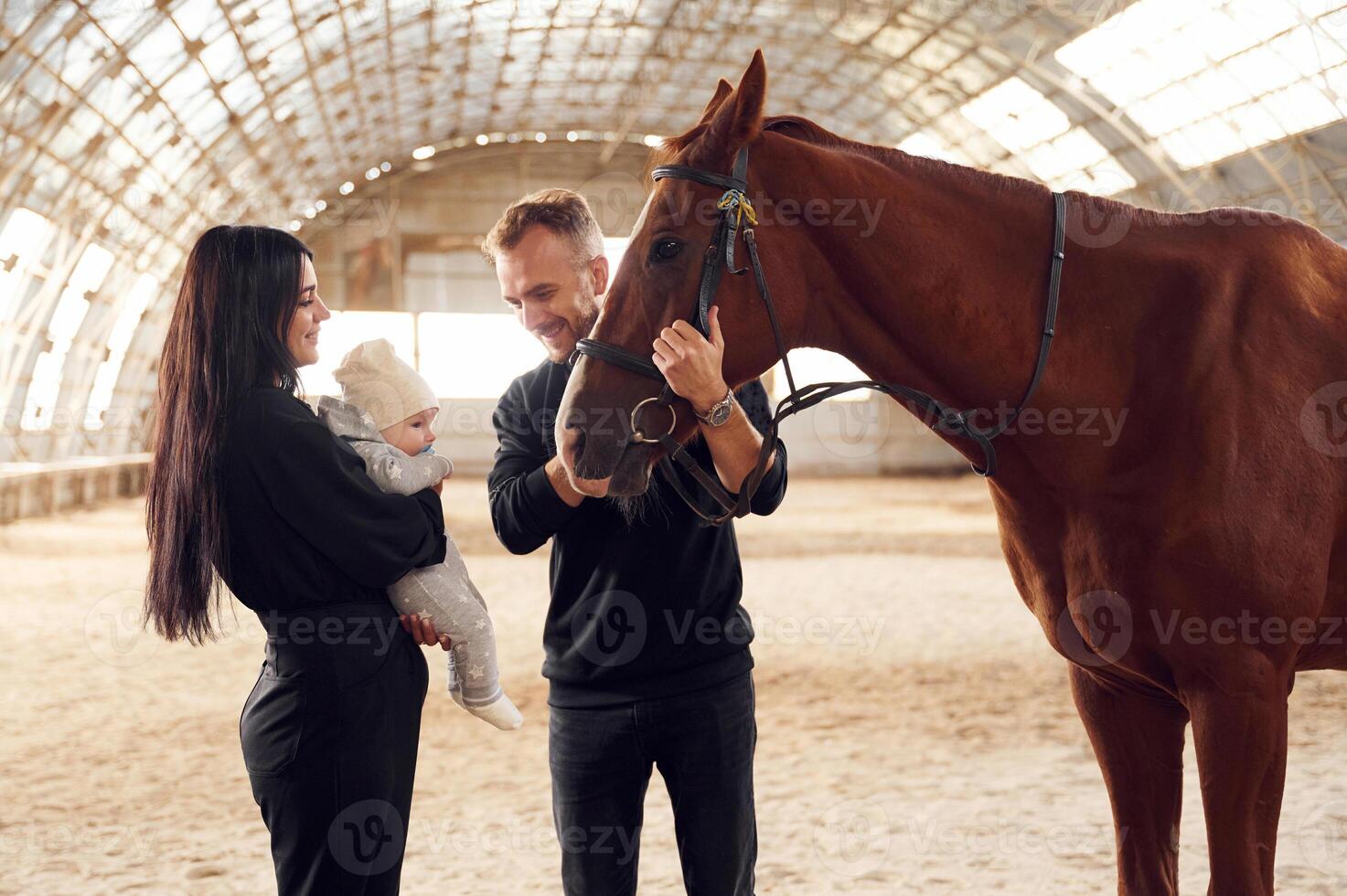 Lovely couple ,is standing with indoors in the hangar with little baby and showing him horse photo