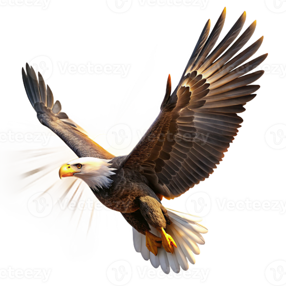 vibrant rustic A majestic bald eagle, wings outstretched mid-flight, catching the golden rays of a setting sun. Photorealistic style original png