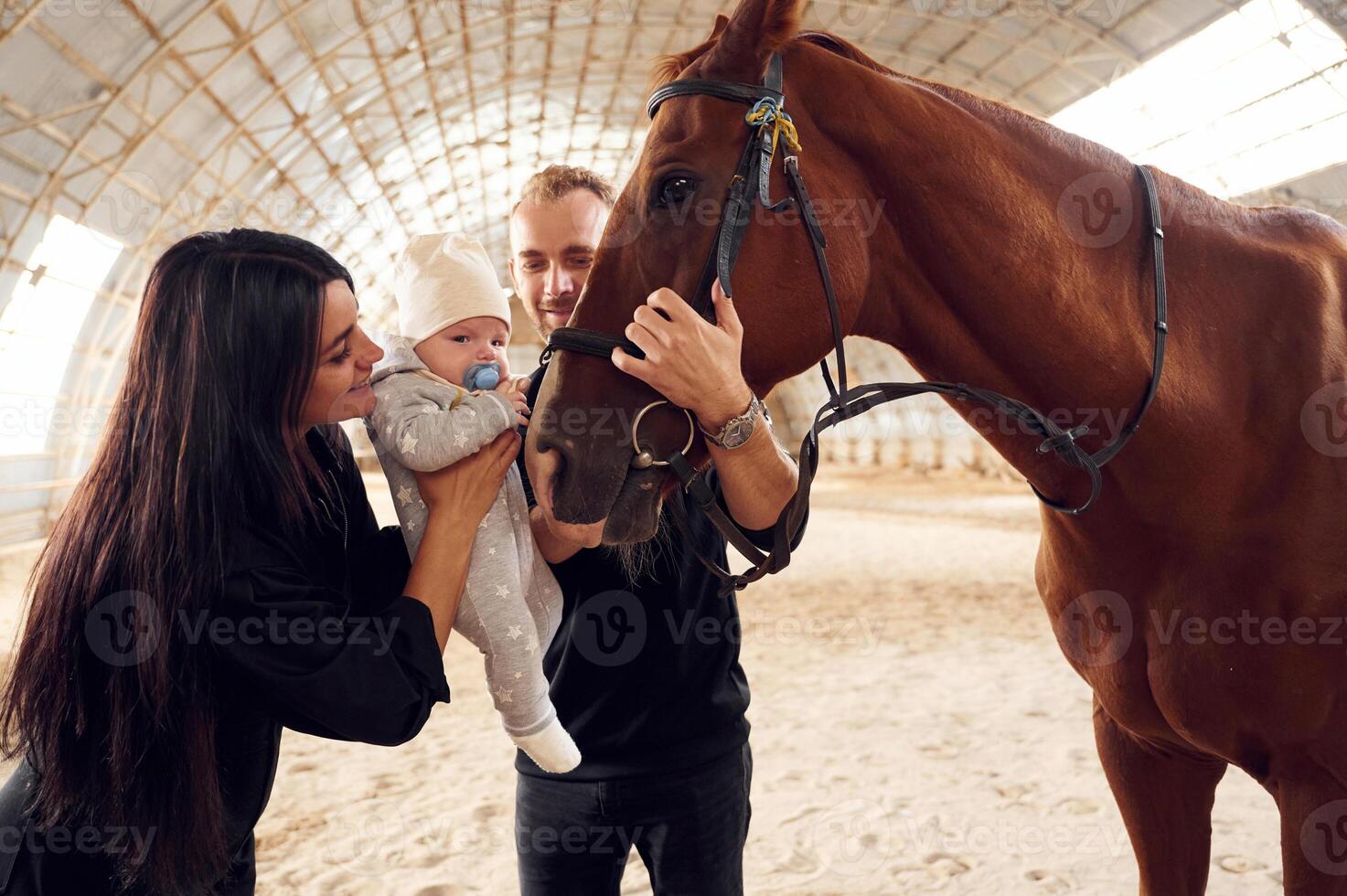 Lovely couple, is standing with indoors in the hangar with little baby and showing him horse photo