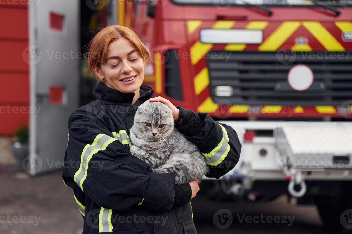 Coneption of animal care. Beautiful scottish fold cat in hands. Woman firefighter in uniform is at work in department photo