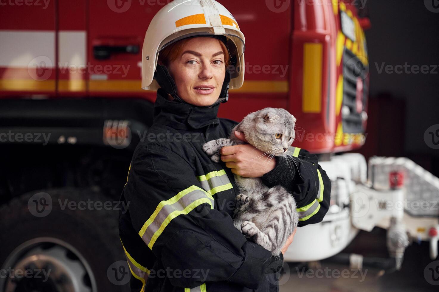 Cute grey colored scottish fold cat is in the hands ,of woman's firefighter that is in uniform at work in department photo