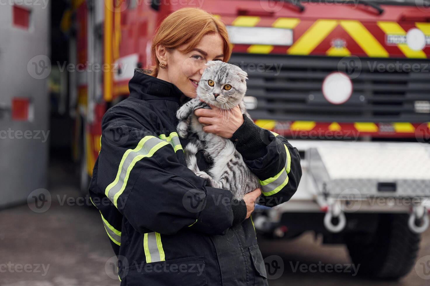 Coneption of, animal care. Beautiful scottish fold cat in hands. Woman firefighter in uniform is at work in department photo
