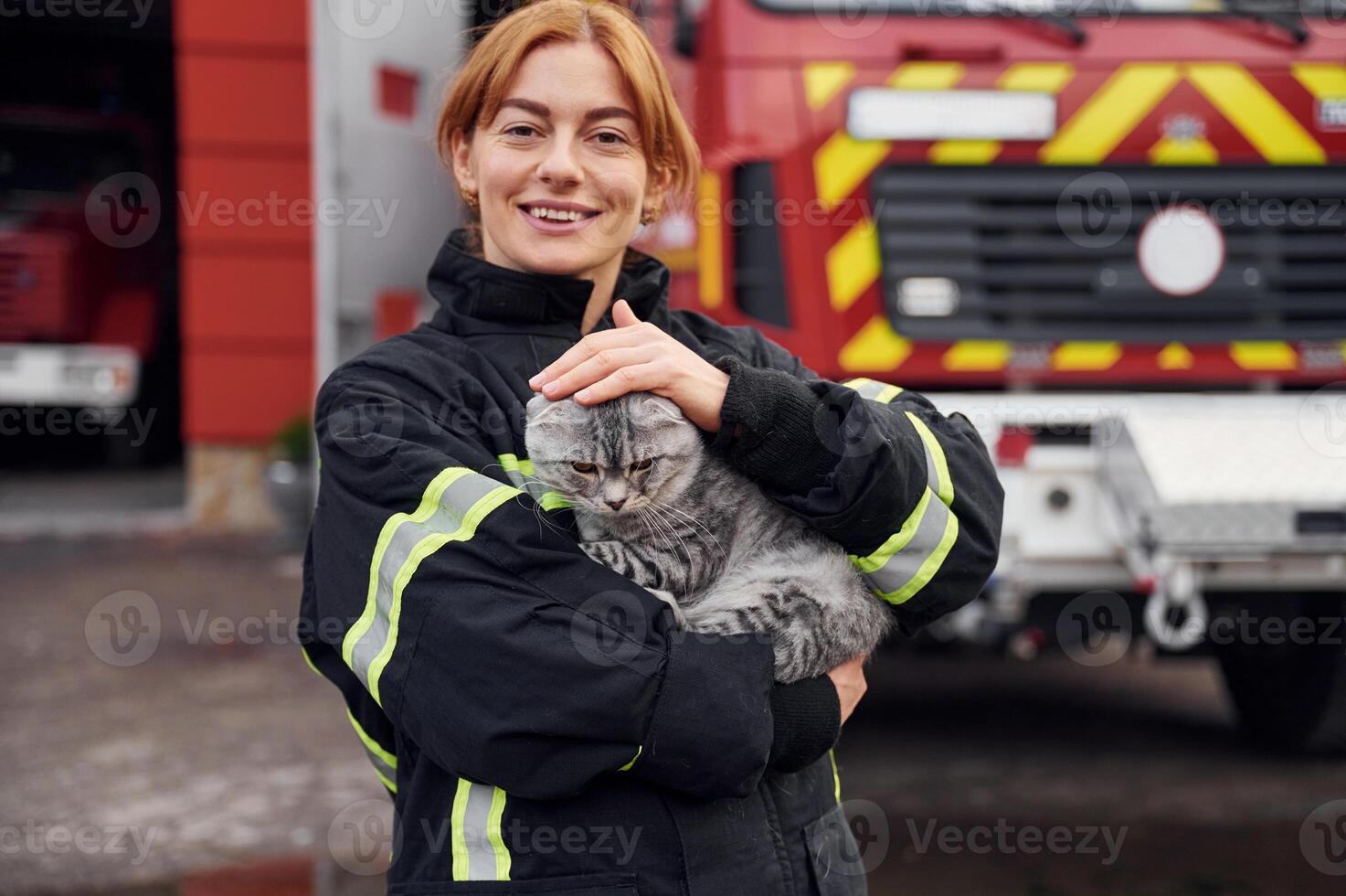 Coneption of animal ,care. Beautiful scottish fold cat in hands. Woman firefighter in uniform is at work in department photo