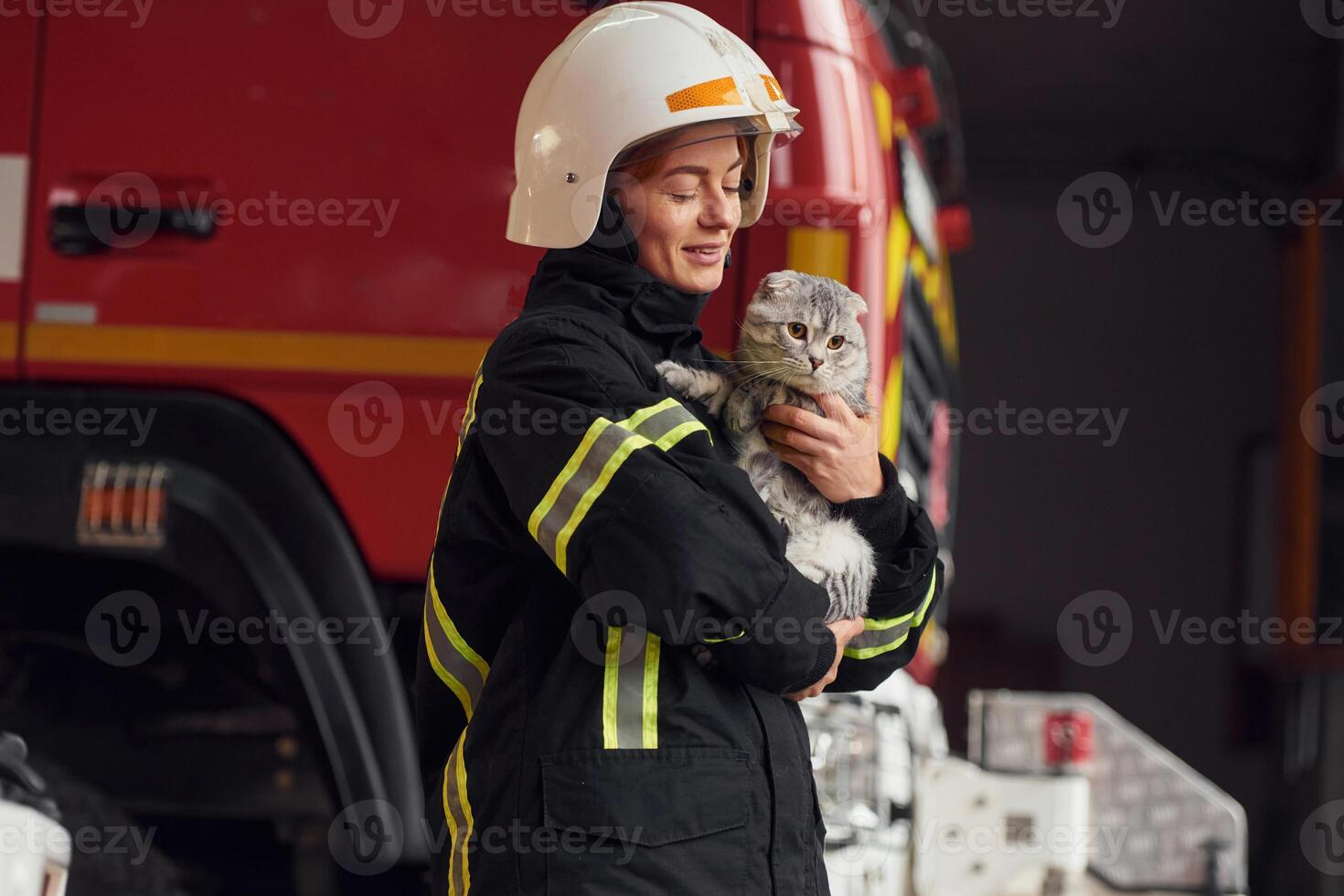 Holding beautiful scottish fold cat. Woman firefighter in uniform is at work in department. photo