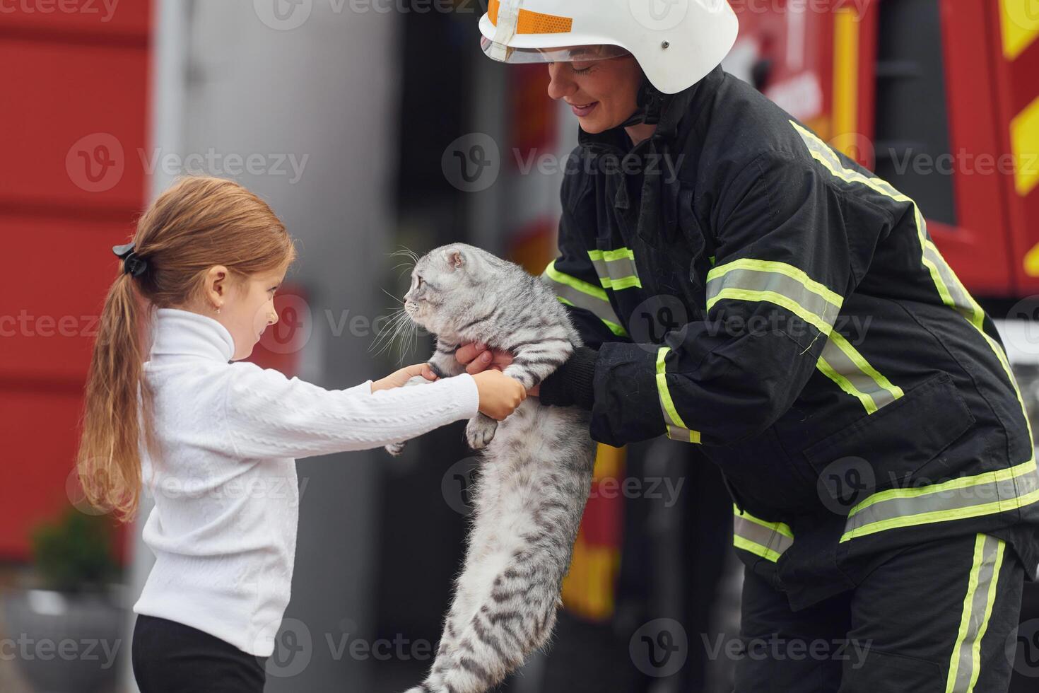 Giving scottish fold cat to the owner. Firefighter woman in uniform is with a little girl photo