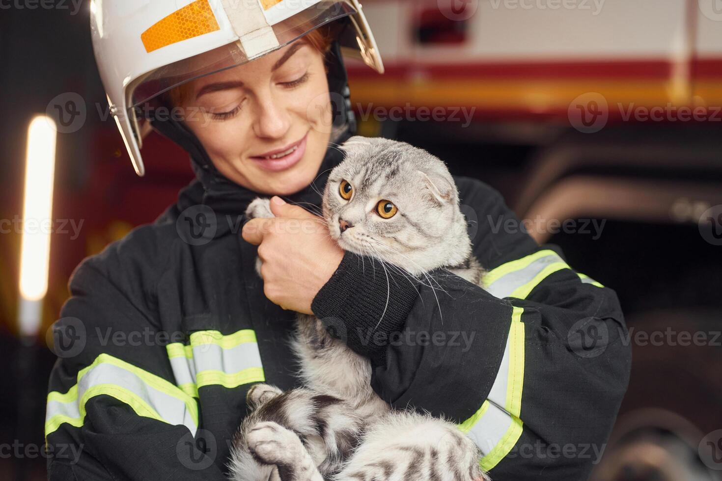 Holding, beautiful, scottish fold cat. Woman firefighter in uniform is at work in department. photo