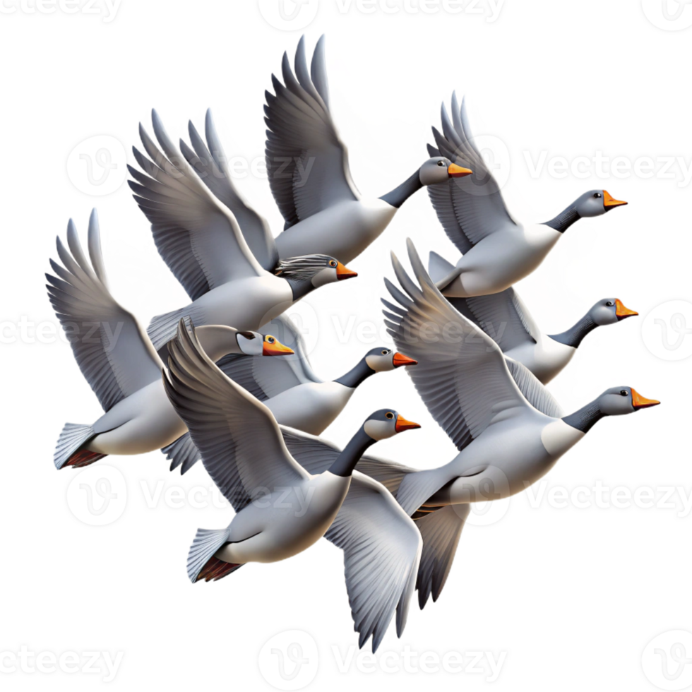 wonderful artistic A flock of migrating geese flying in a V-formation against a dramatic sunset sky, in a silhouette style professional png