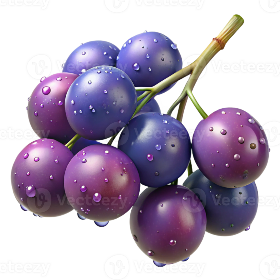 magnificent minimalist A cluster of ripe berries on a branch, glistening with dew, natural lighting, realistic style 4K png