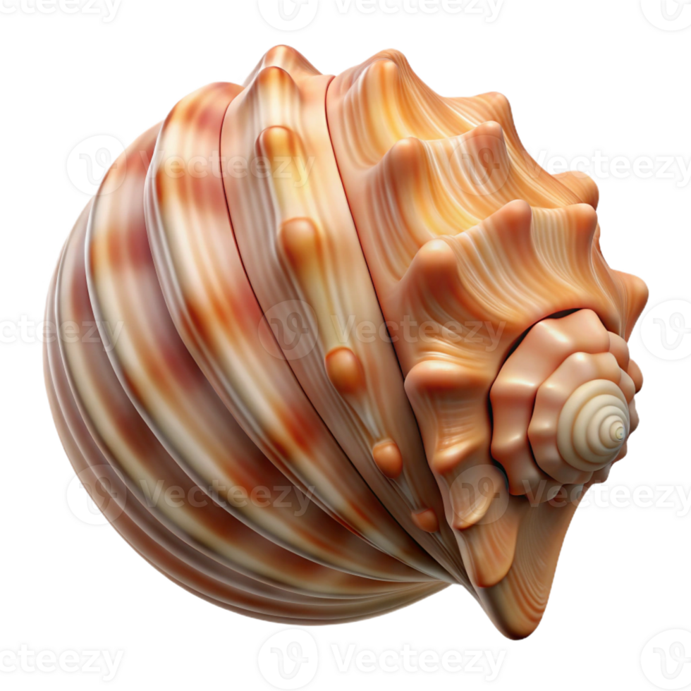 dramatic vintage A close-up of a seashell with intricate patterns and textures, soft lighting, still life photography style professional png