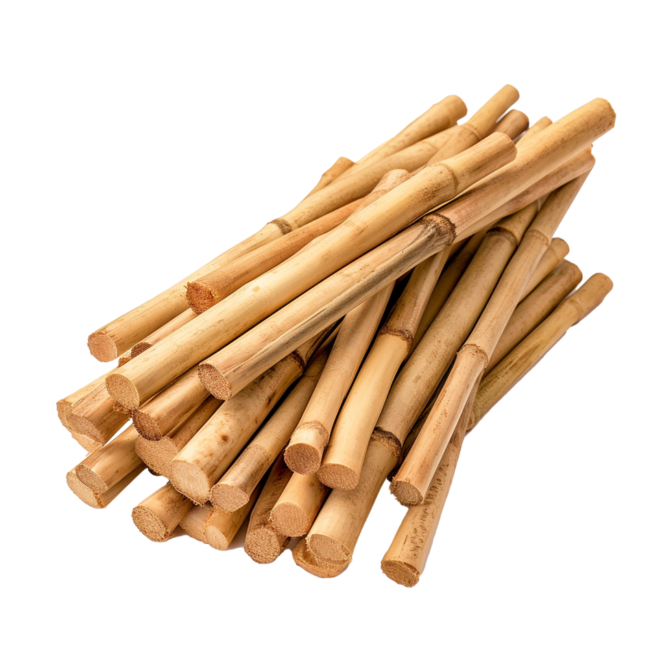 Vibrant Green Bamboo Stalks and Lush Leaves Displayed Closely Together png