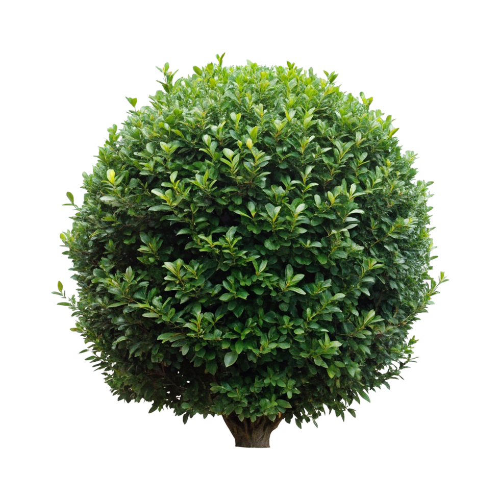 Vibrant and Lush Green Hedge with Colorful Flowering Shrubs png