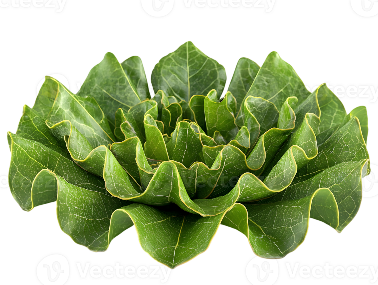 Abstract Green Leaves Pattern with White Specks Against Black Backdrop Creates Intricate Texture in Isolated Close Up Botanical Still Life png