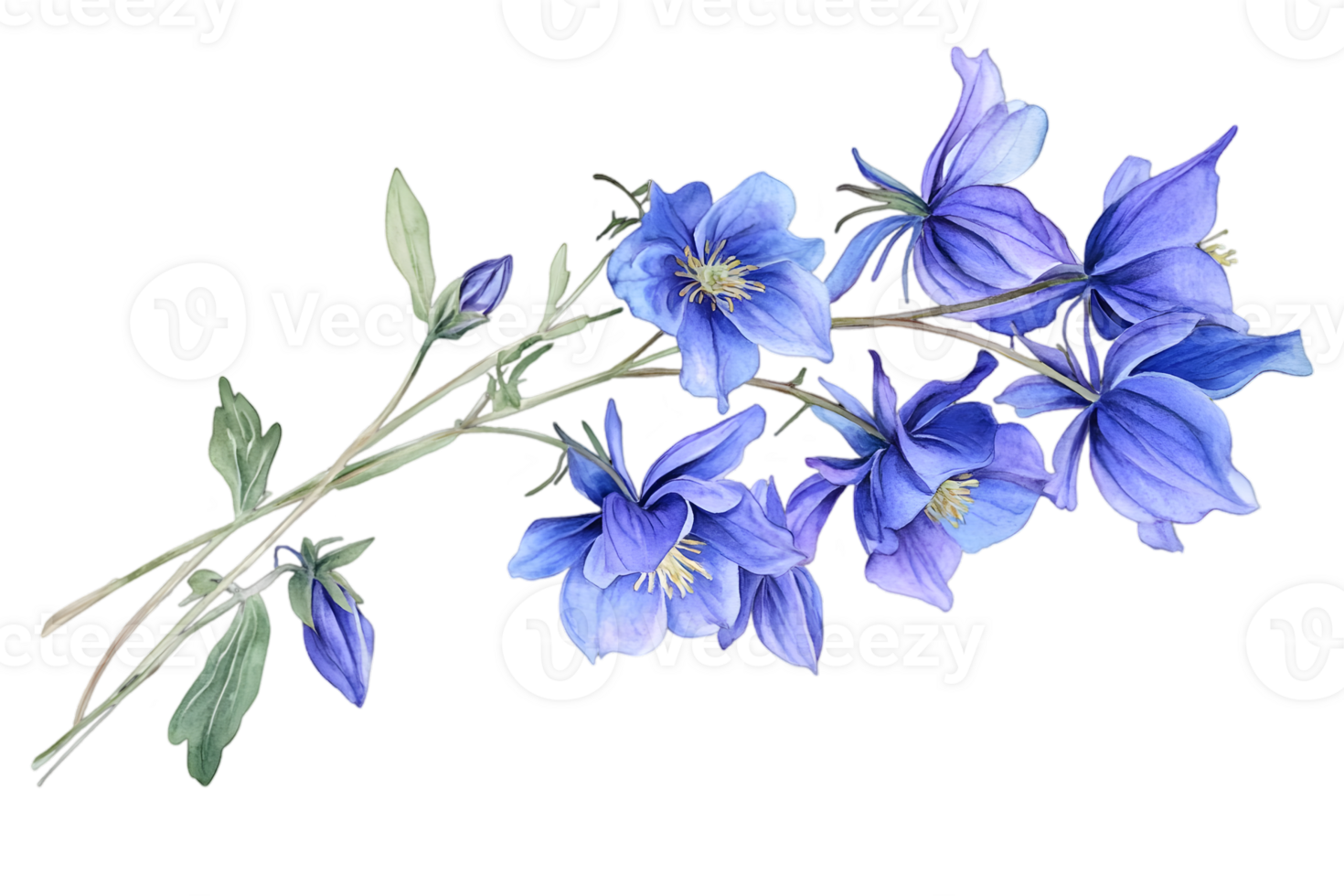 Blooming Blue Flowers Illustration on Transparent Background Botanical Design png