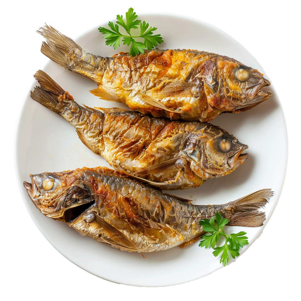Three Fried Fish on White Plate Garnish with Parsley png