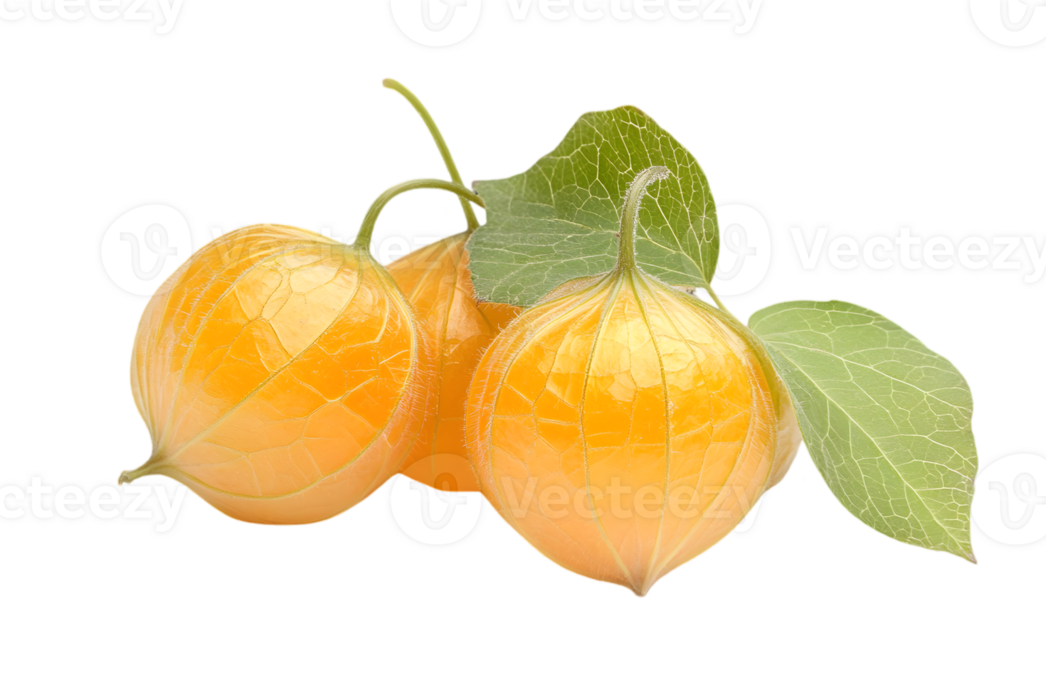 Close Up of Ripe Goldenberries with Green Leaves on Transparent Background Healthy and Sweet Physalis Fruit for Cooking and Still Life Compositions png