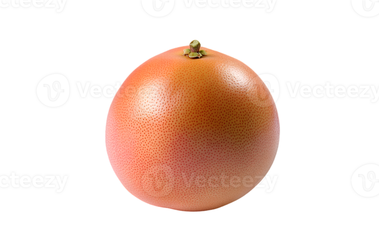 Close Up Studio Shot of a Round Pink Grapefruit with Transparent Background Food Healthy Raw Vitamin Rich Juicy Tropical Fresh Still Life png