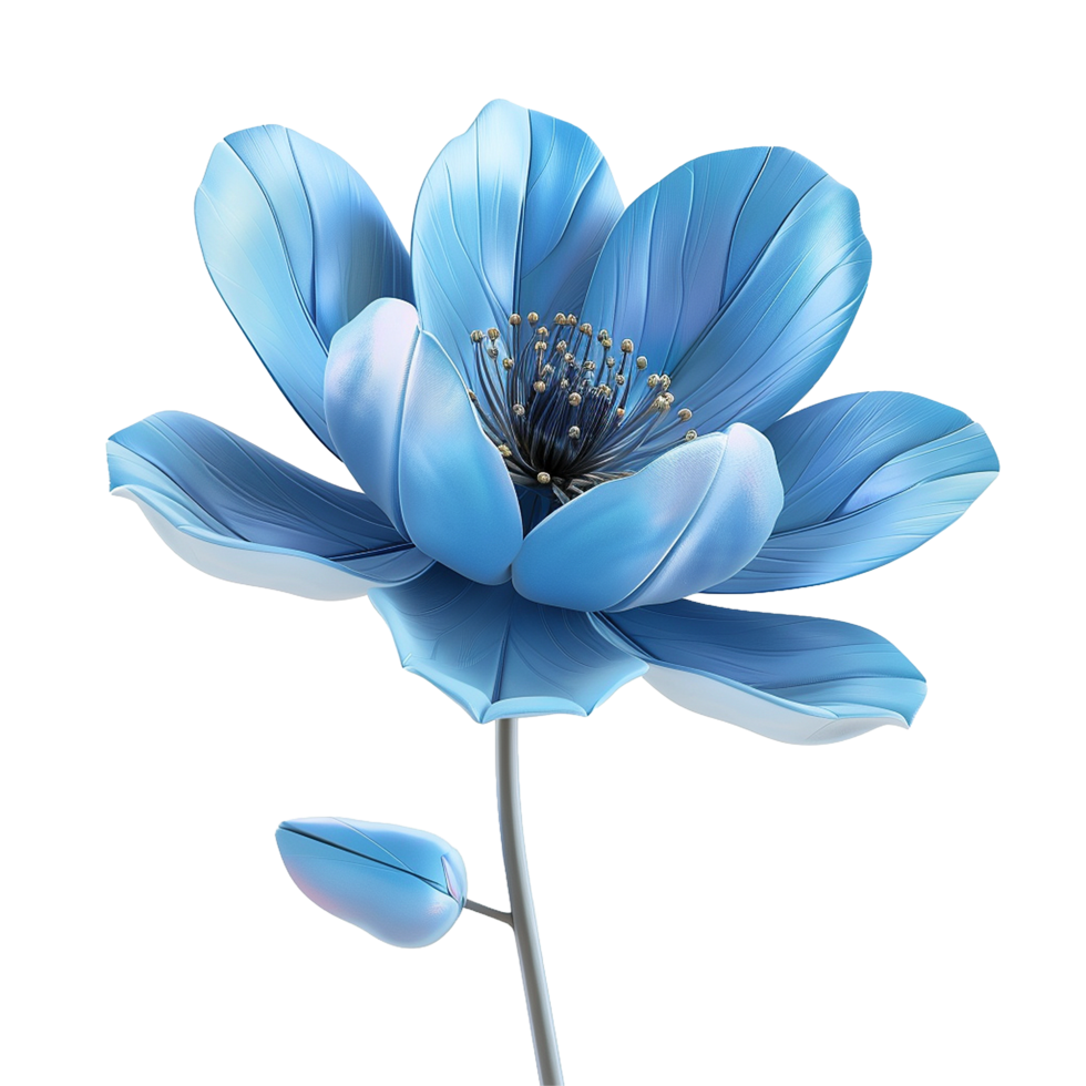 Stunningly Beautiful Light Blue Flower with Delicate Petals and Bud png
