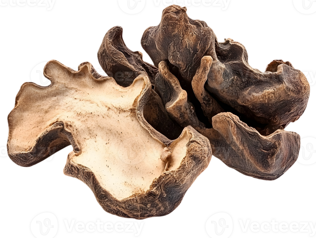 Close Up Sliced Black Truffles on Transparent Background Gourmet Culinary Ingredient for Fine Dining and Exquisite Food Preparation png