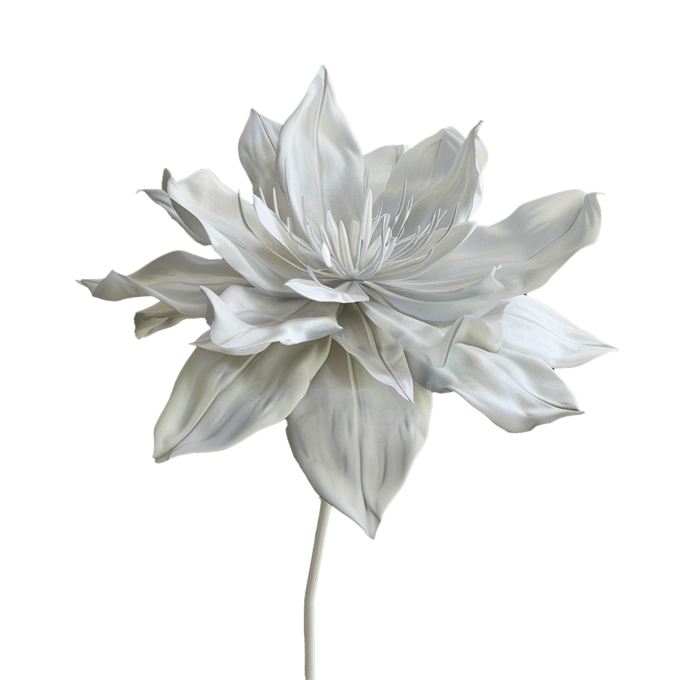 Elegant White Flower on Grey Background, Detailed Petals, Soft Light, Artistic Still Life, Monochromatic Floral Artwork, Modern Botanical Illustration, HighResolution Image, Nature Inspired Design png