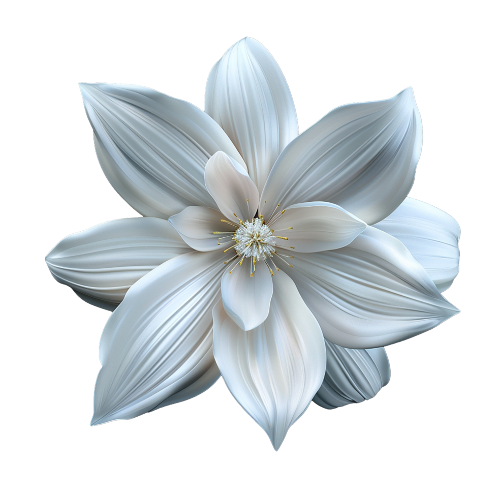 Stunning Closeup of a Delicate White Flower with Soft Petals and a Golden Center png