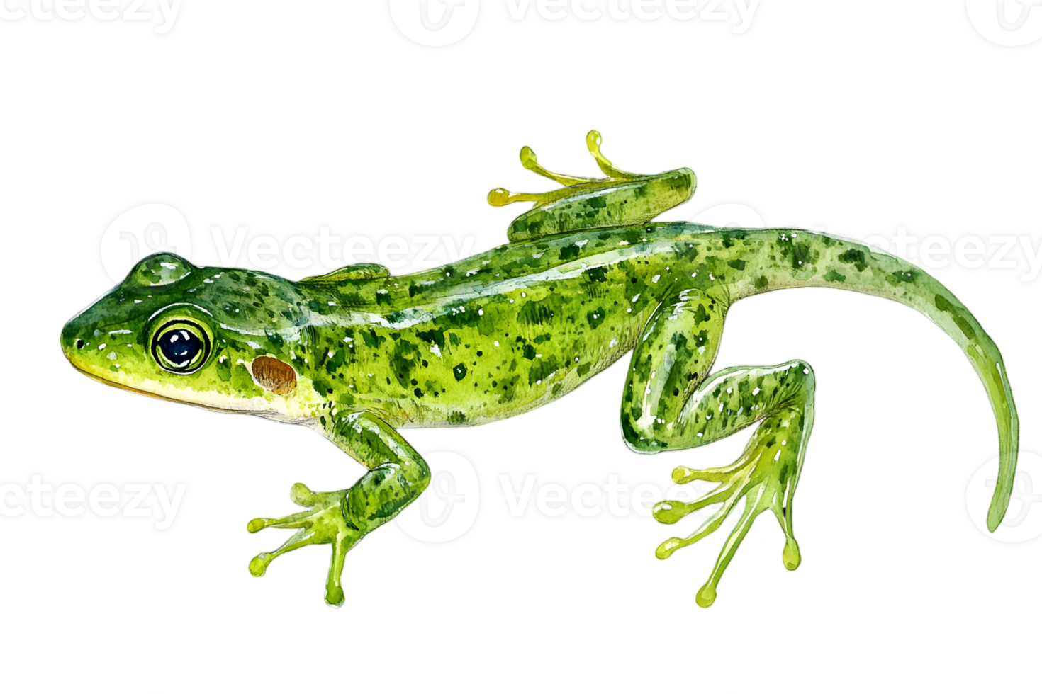 Detailed Green Lizard with Speckled Pattern Isolated on Transparent Background Featuring Vibrant Color and Textured Skin png