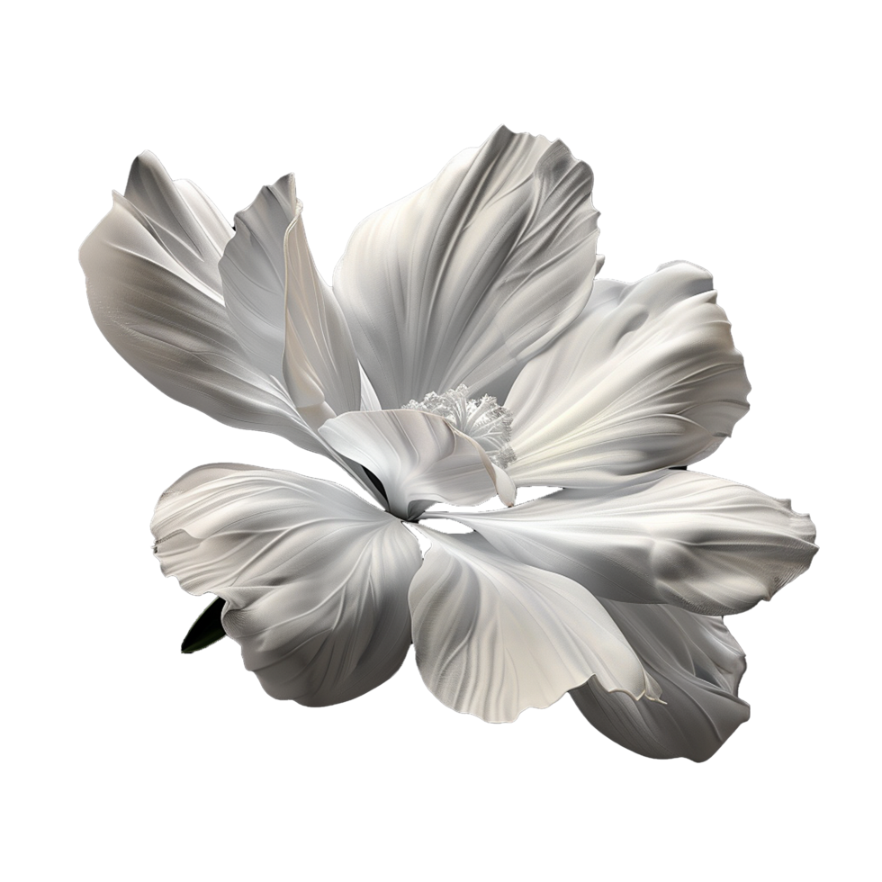 Monochromatic Closeup of a Delicate White Flower with Soft Petals and a Dark Background png