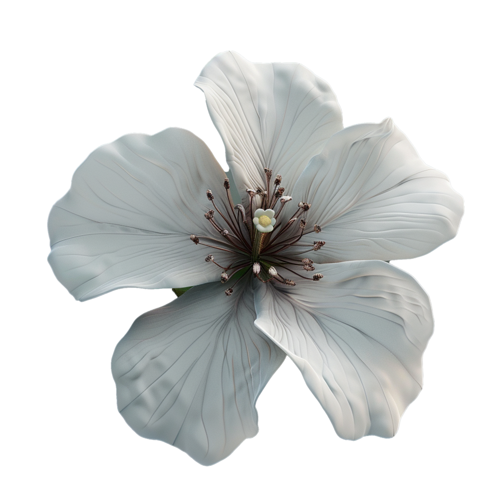 A Stunning Closeup of an Elegant Light Grey Flower with Delicate Petals and Intricate Stamens png
