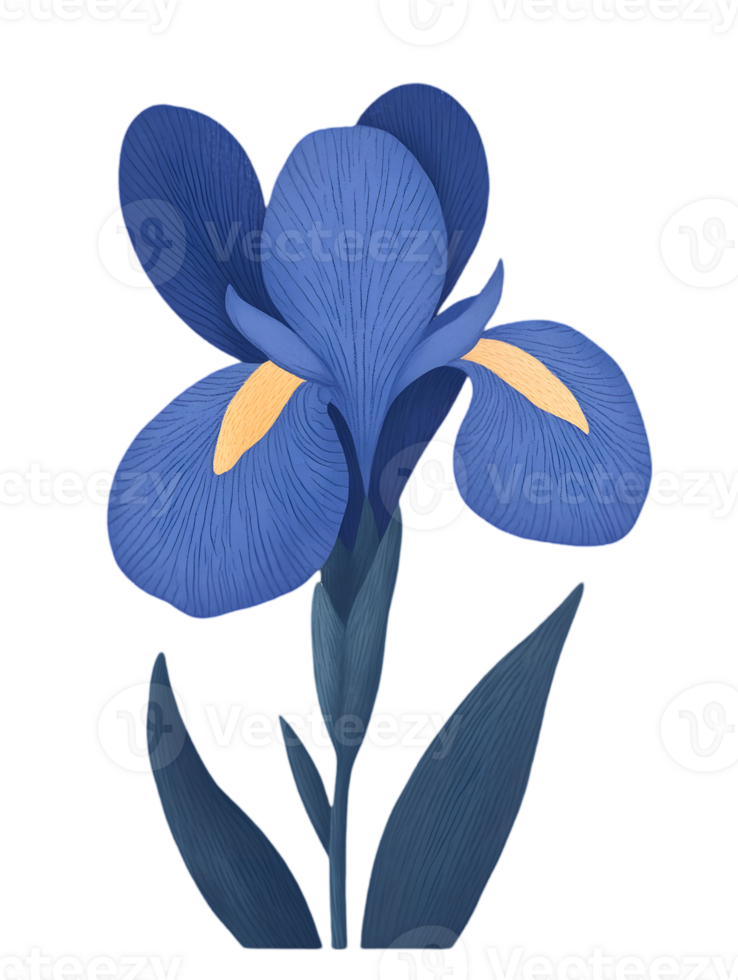 Detailed Render of a Single Blue Iris Flower with Yellow Accents on a Transparent Background png