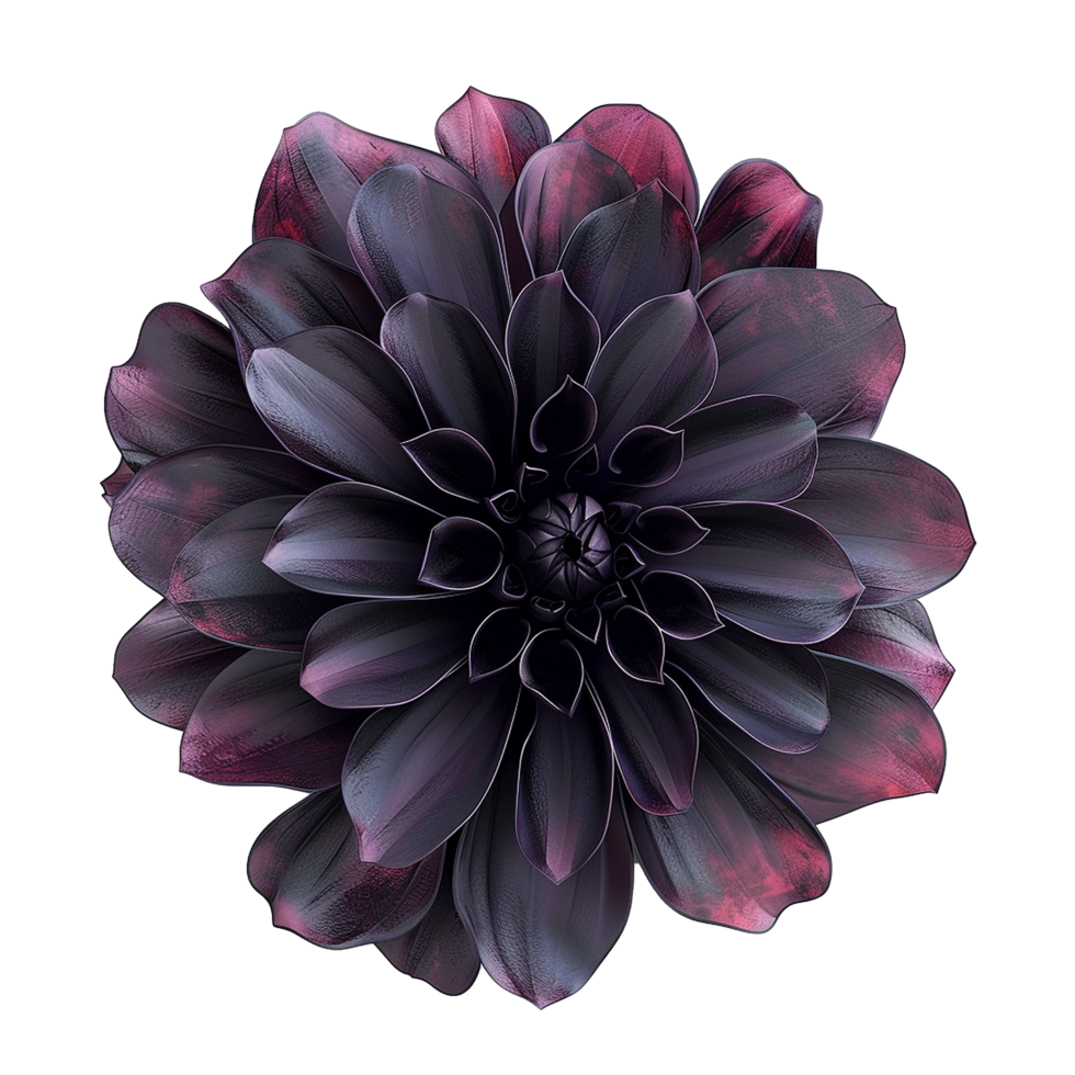 A Stunning Close Up of a Dark Purple Dahlia Flower with Intricate Petals png