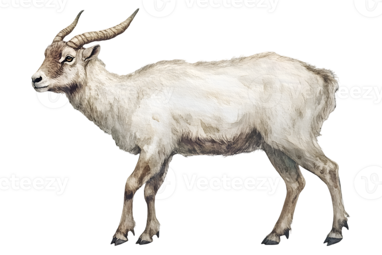 Elegant Beige and White Addax Antelope Standing Gracefully with Curved Horns Against a Clean Transparent Background in Stunning Detail png