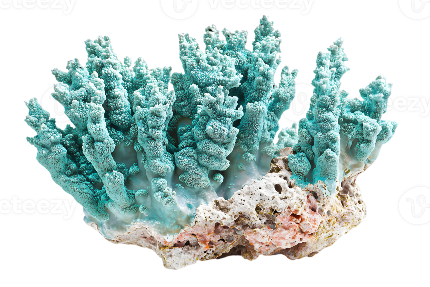 Intricate Copper Mineral Specimen Displaying Turquoise Oxidation Isolated Against Black Background Captivating Geological Formation With Metallic Luster And Fine Texture png
