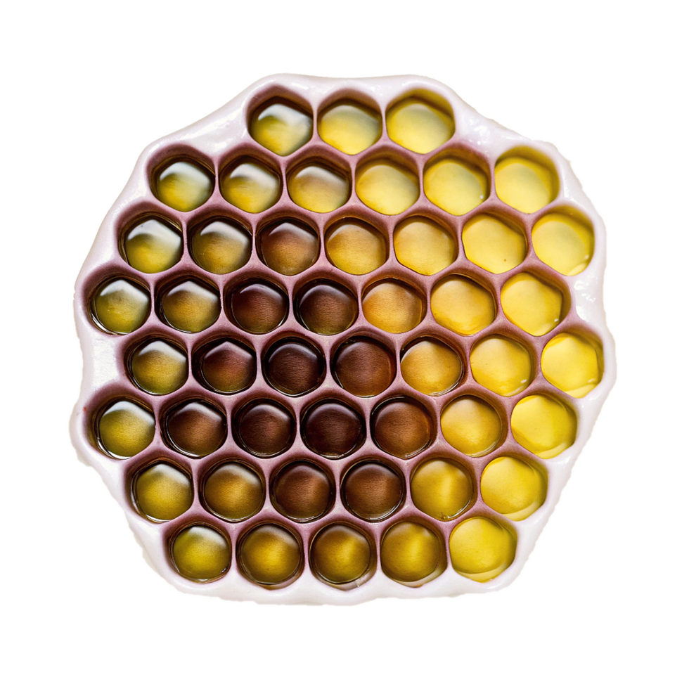 Honeycomb Section Filled with Golden Honey, CloseUp View of Nature's Sweetness png
