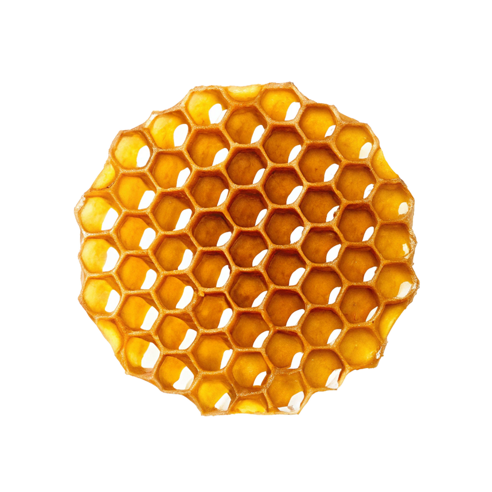 Honeycomb Pattern Hexagons Filled with Sweet Honey png