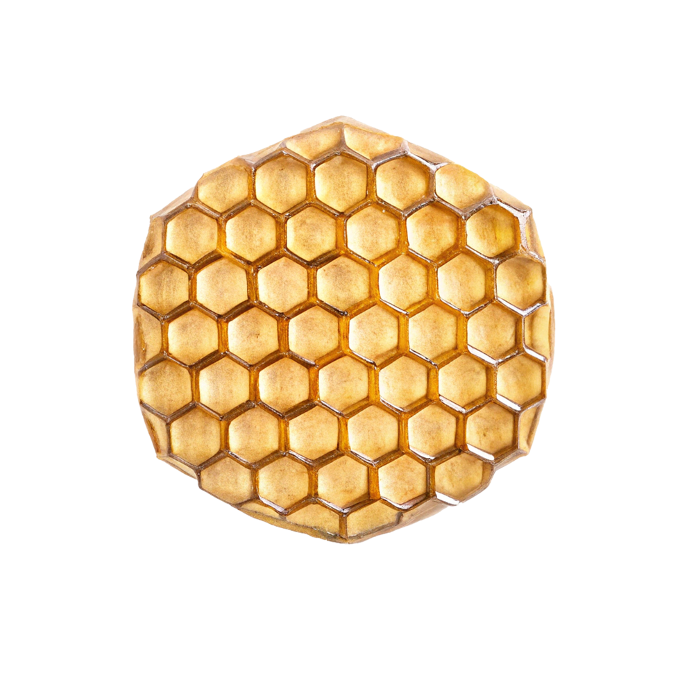 Golden Honeycomb Slice, Natural Sweetness, Hexagonal Pattern, Bee Product, Delicious Treat, Pure Honey, Natural Texture, Golden Amber Color, Sweet Taste, Honeycomb Cells png
