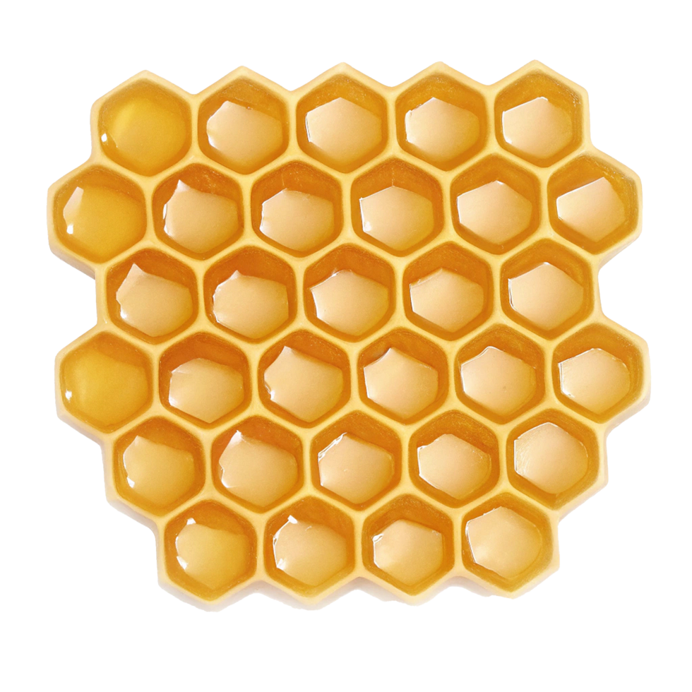 Golden Honeycomb Filled with Sweet Honey Delightful Treat png